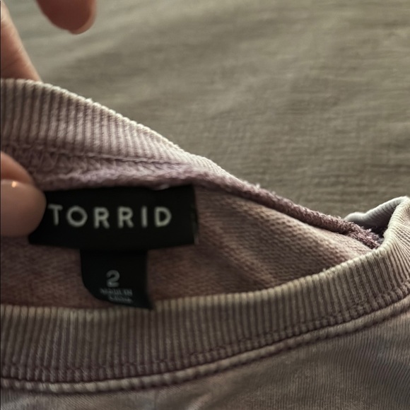 Torrid Soft Pink Crew Neck Top Torrid size 2 - Picture 2 of 4